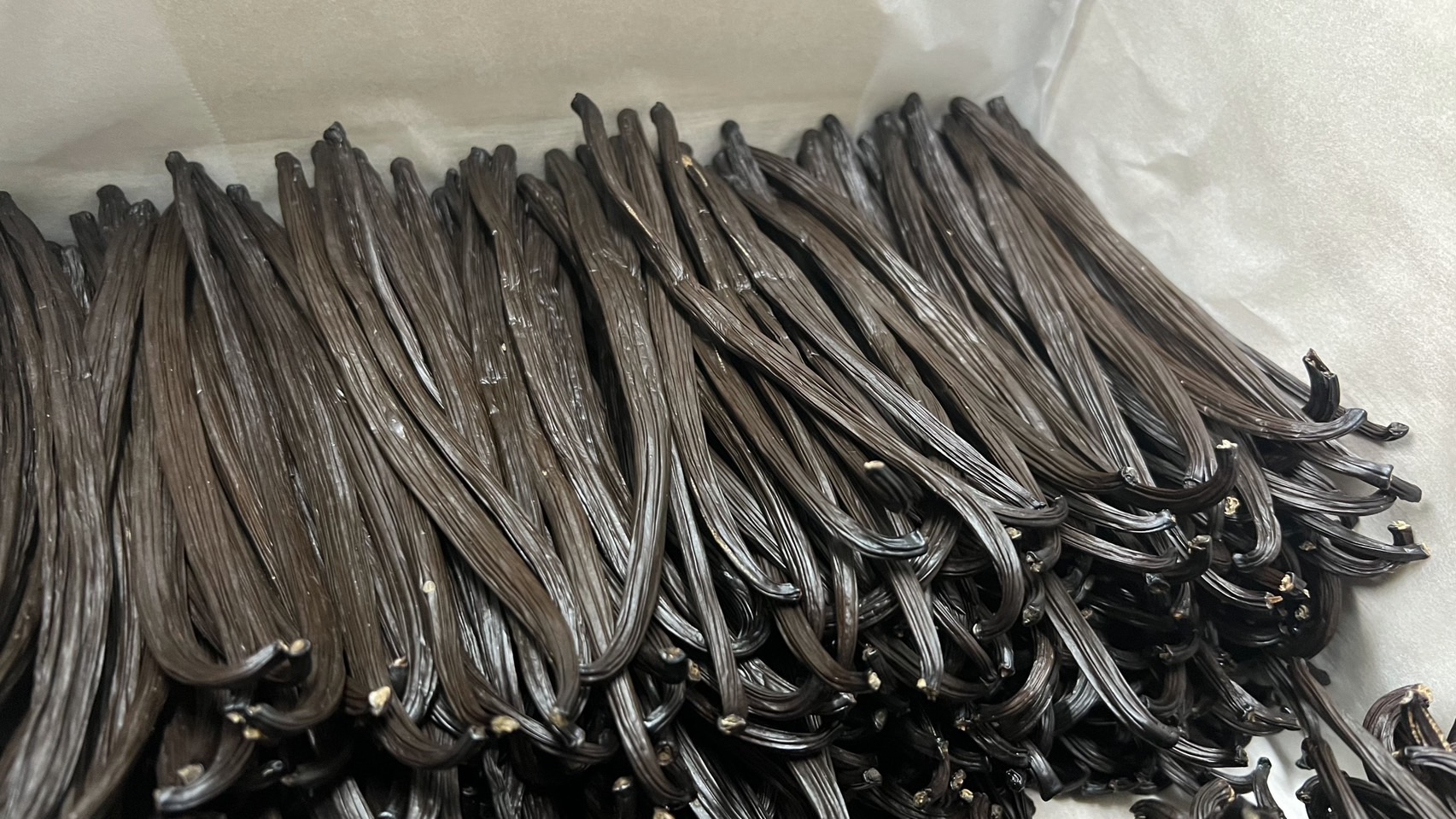 台灣香草蘭股份有限公司